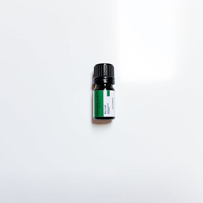 Bay Leaf (West Indies) Essential Oil