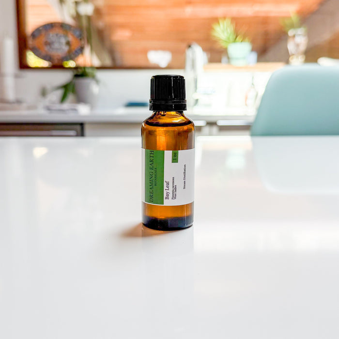 Bay Leaf (West Indies) Essential Oil
