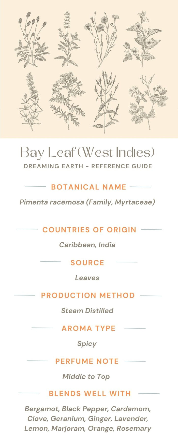 Bay Leaf (West Indies) Essential Oil