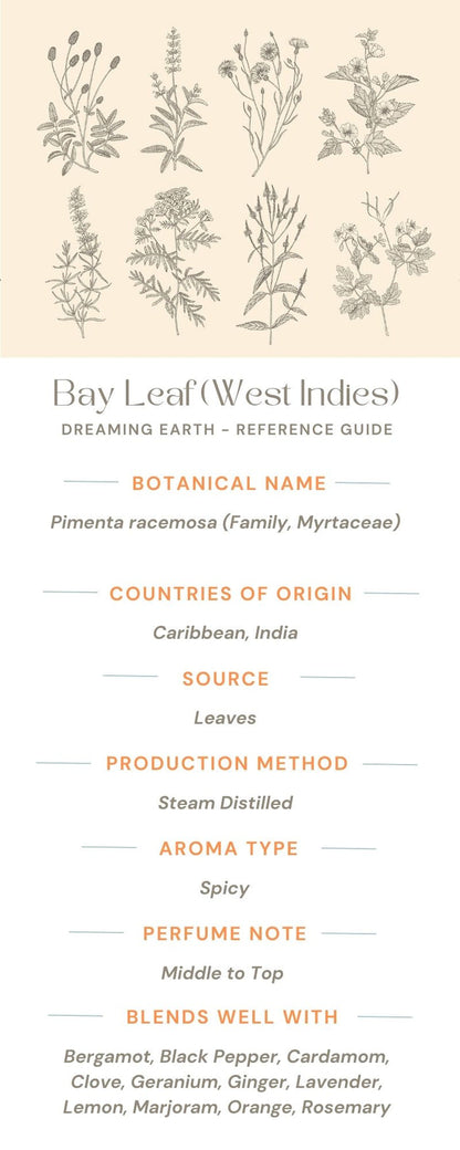 Bay Leaf (West Indies) Essential Oil