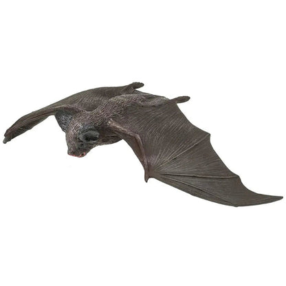 Brown Bat