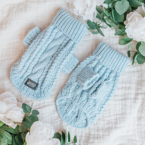 Pet Cable Knit Sweater - Light Blue