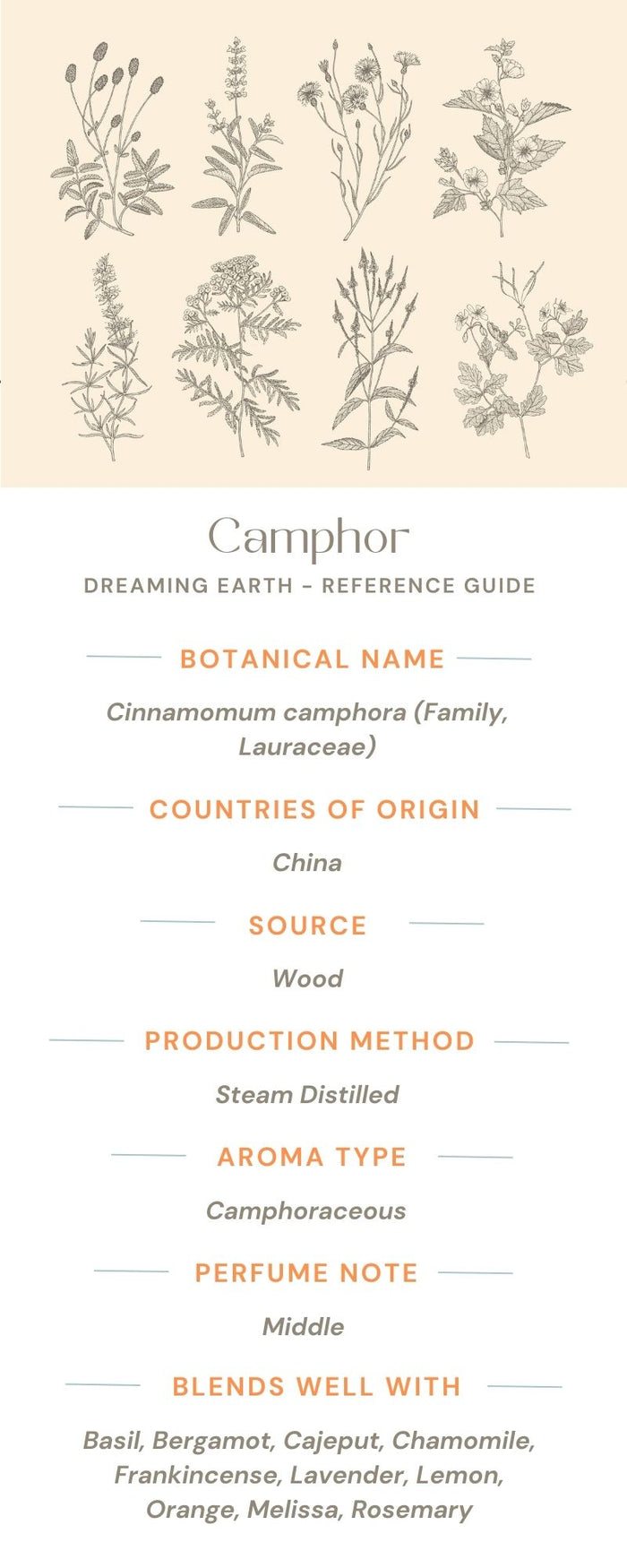 Camphor, White Essential Oil