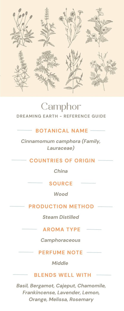 Camphor, White Essential Oil