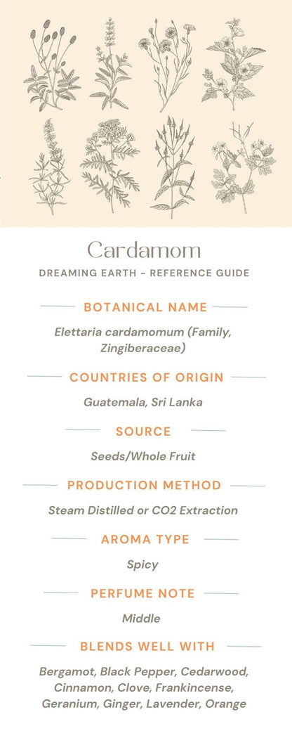 Cardamom Organic Essential Oil