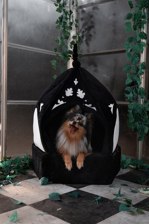 Cathedral Pet Bed