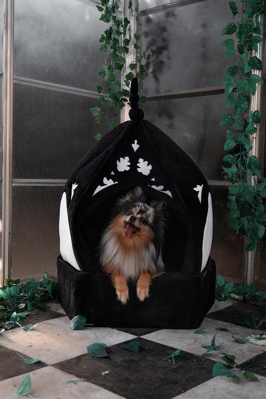 Cathedral Pet Bed