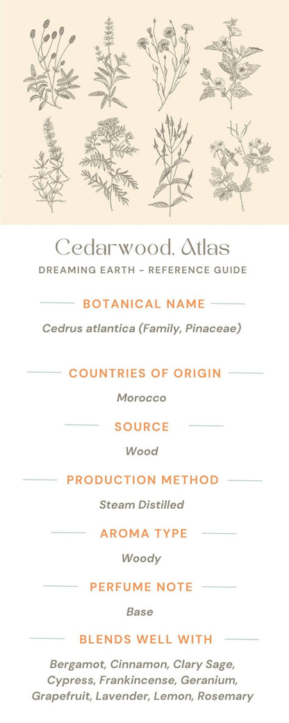 Cedarwood Organic Essential Oil - Dreaming Earth Inc