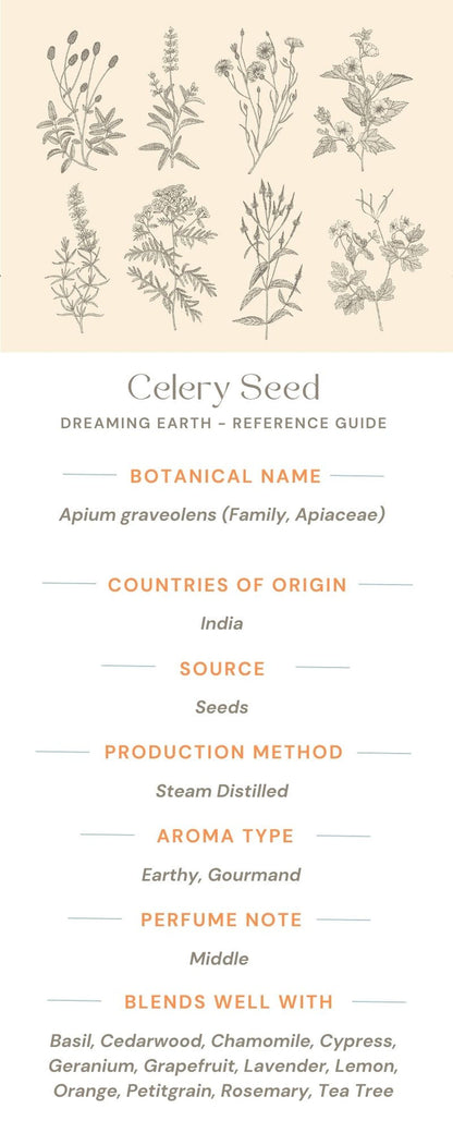 Celery Seed Essential Oil