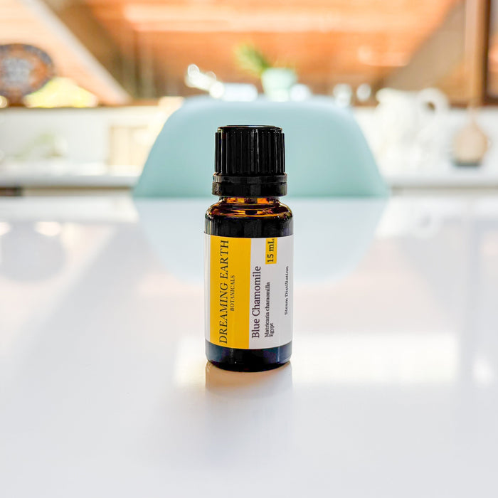 Chamomile, Blue (German) Essential Oil