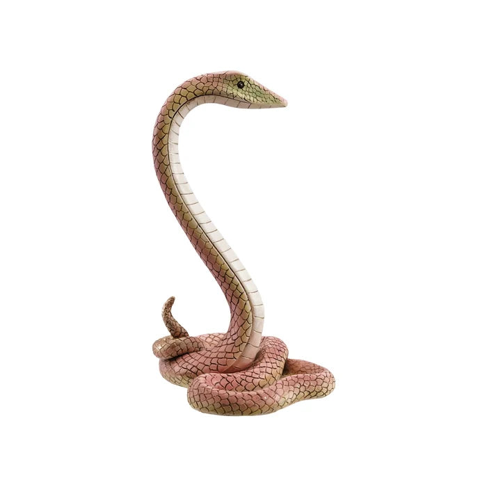 Charming Snake