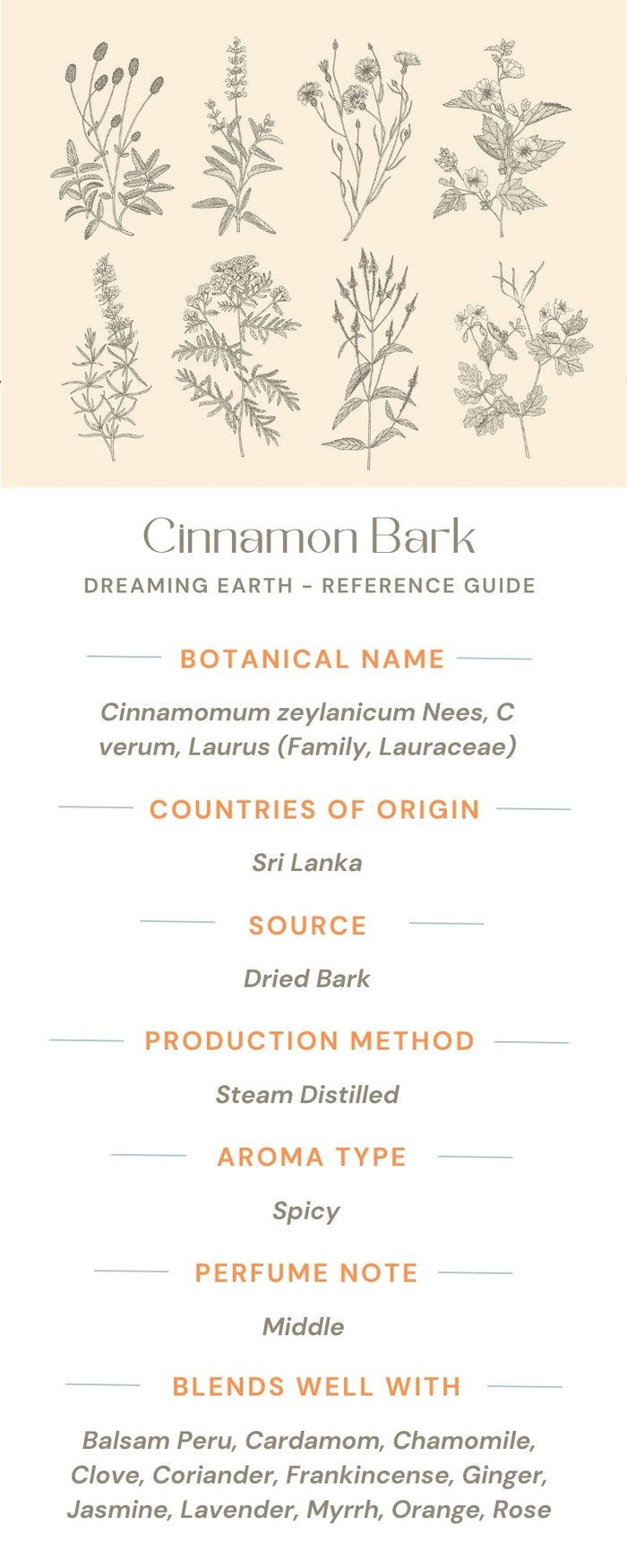 Cinnamon Bark Organic Essential Oil - Dreaming Earth Inc