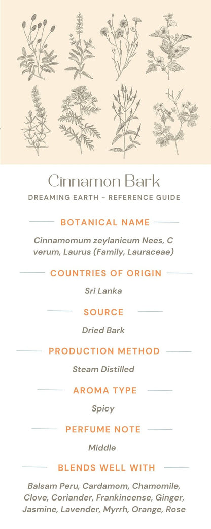 Cinnamon Bark Organic Essential Oil - Dreaming Earth Inc