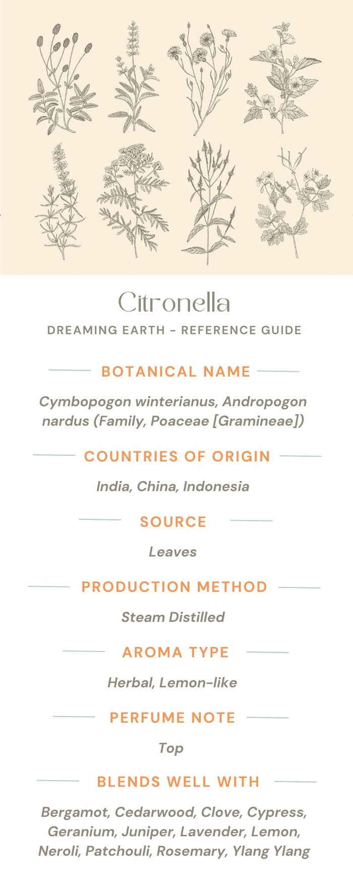 Citronella Essential Oil - Dreaming Earth Inc