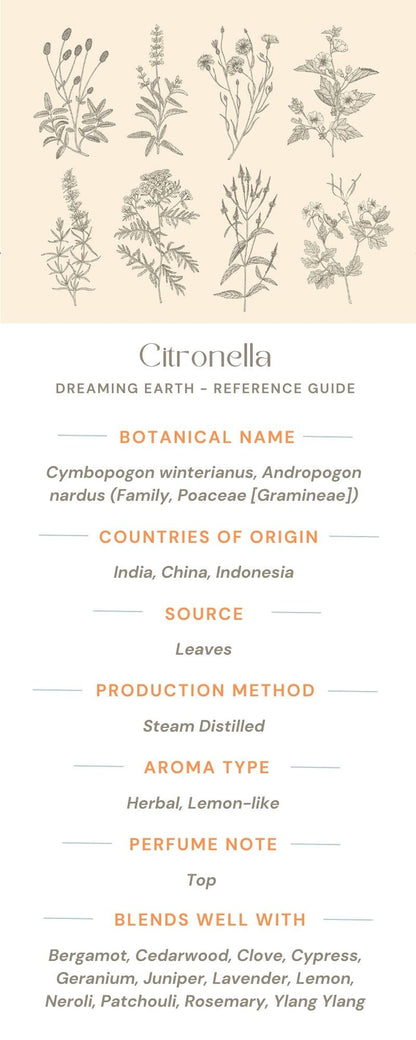 Citronella Essential Oil - Dreaming Earth Inc