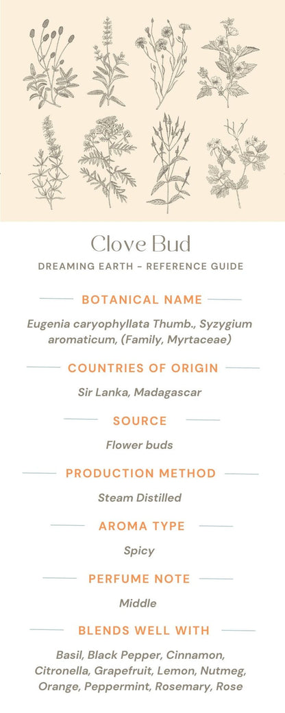 Clove Bud Essential Oil - Dreaming Earth Inc