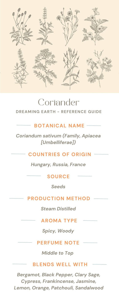 Coriander Essential Oil - Dreaming Earth Inc