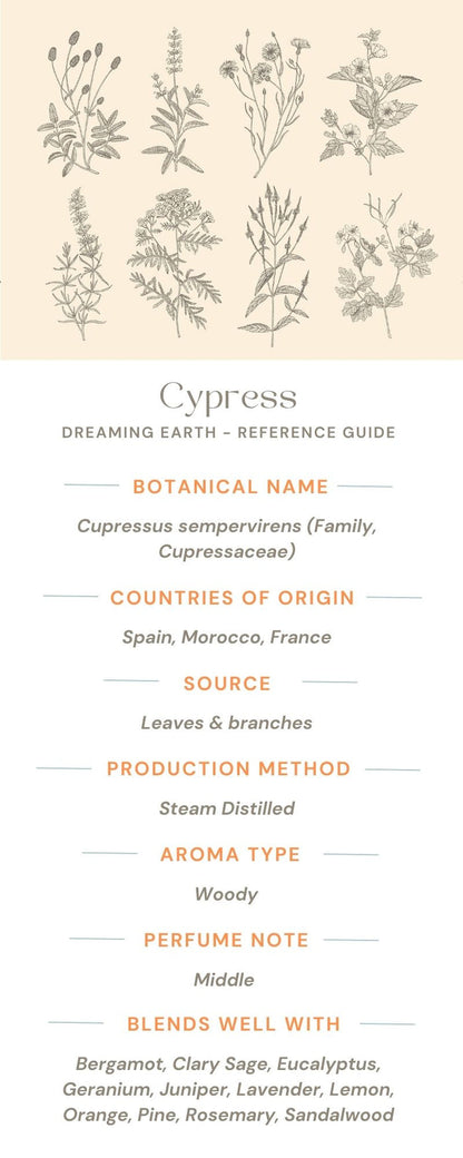 Cypress Essential Oil - Dreaming Earth Inc