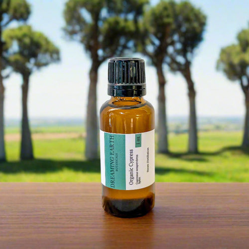 Cypress Organic Essential Oil