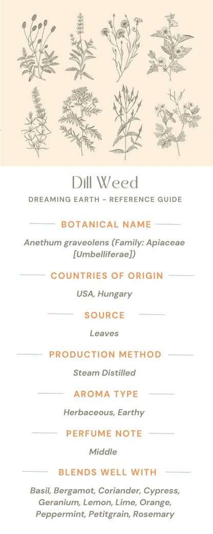 Dill Weed Essential Oil