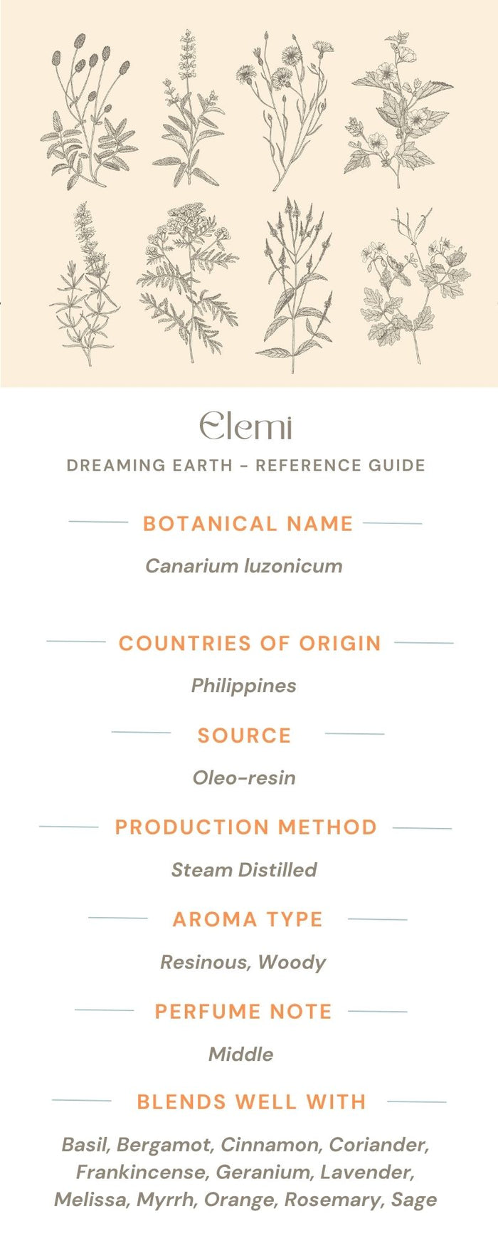 Elemi Essential Oil - Dreaming Earth Inc