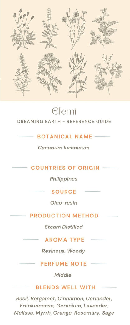 Elemi Essential Oil - Dreaming Earth Inc