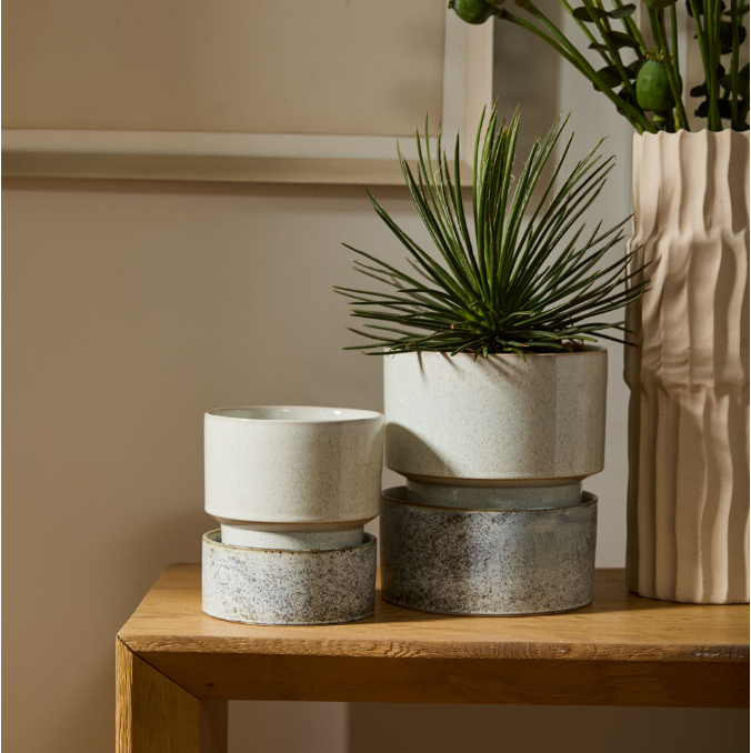 ceramic plant pots in neutral tones of cream, speckled gray, and textured light blue, styled on a wooden table with a potted green plant and a ribbed beige vase.