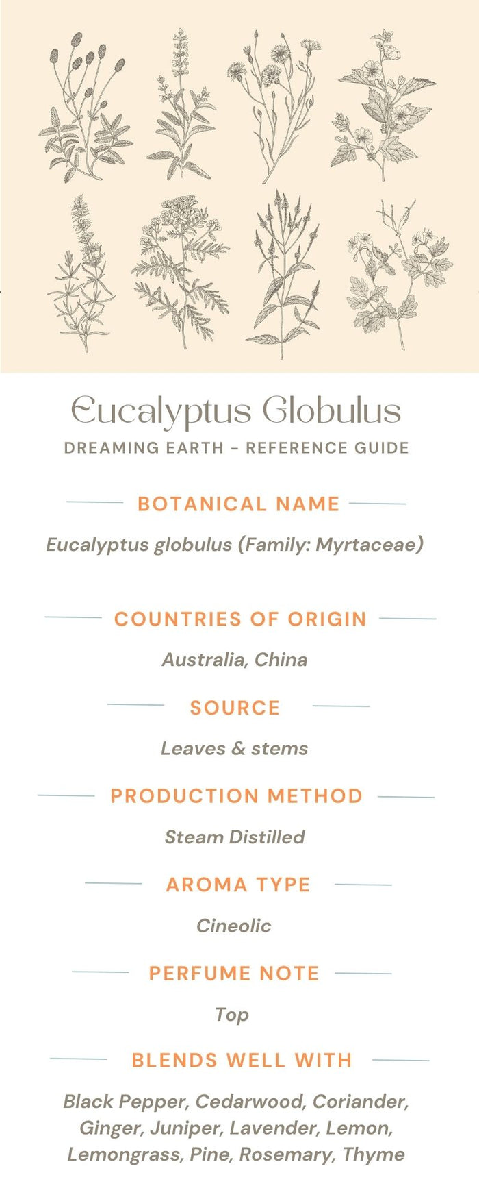 Eucalyptus Globulus Essential Oil - Dreaming Earth Inc