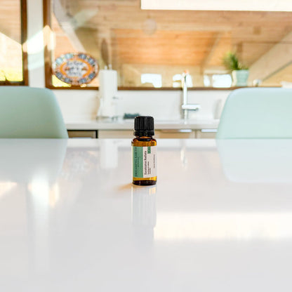 Eucalyptus Radiata Essential Oil