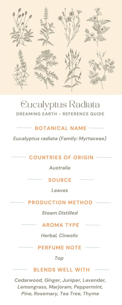 Eucalyptus Radiata Essential Oil - Dreaming Earth Inc