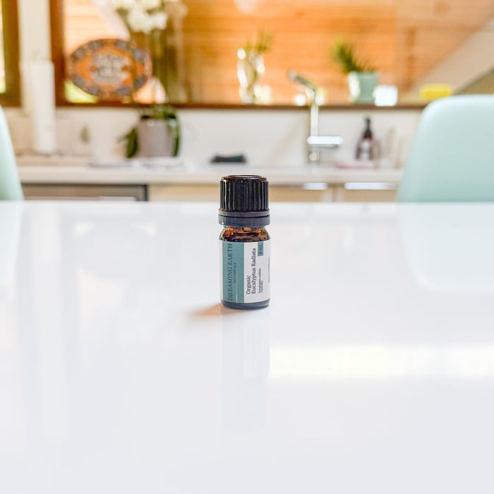 Eucalyptus Radiata Organic Essential Oil