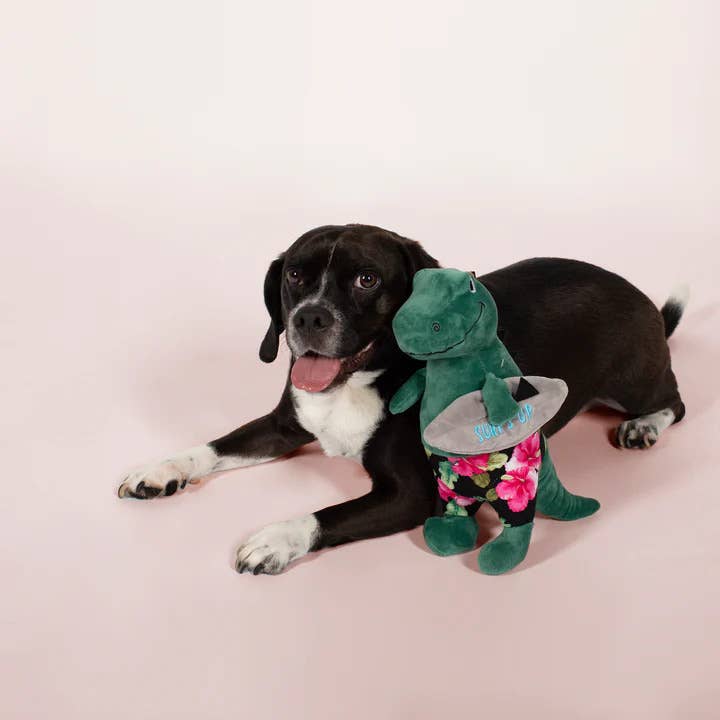 PetShop by Fringe Studio Surfer Bro Rex Plush Dog Toy