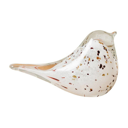 Flecked White Bird