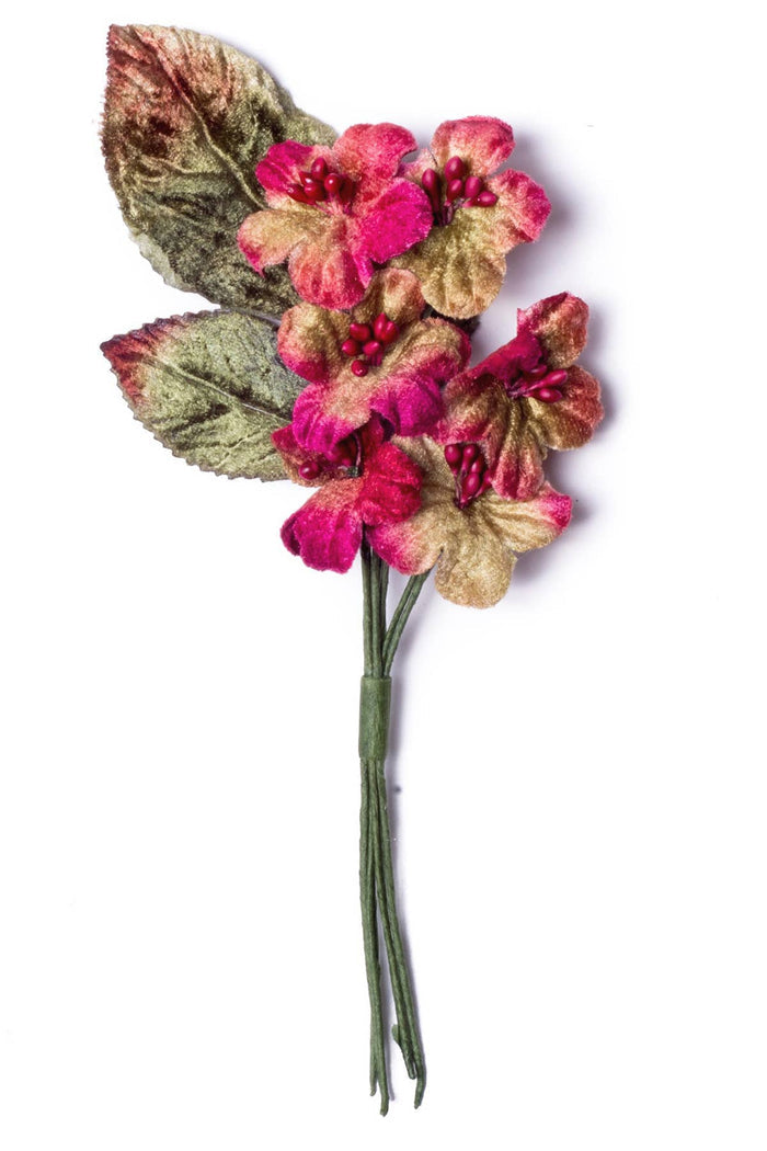 FLOWER - Primrose Posy