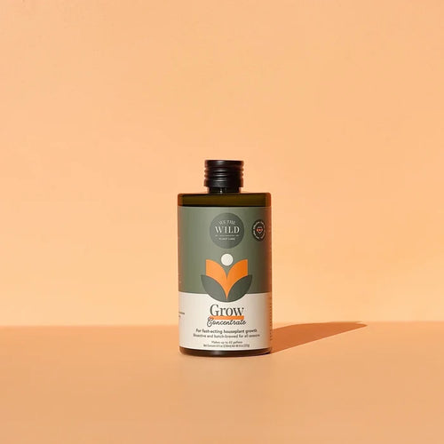 Bottle of fast-acting plant growth concentrate with minimalist label on peach background casting soft shadow