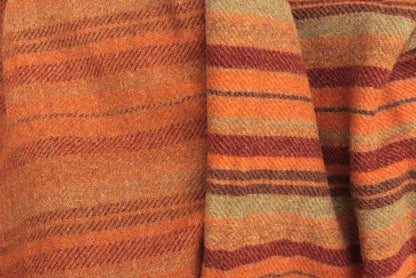 Joseph’s Coat