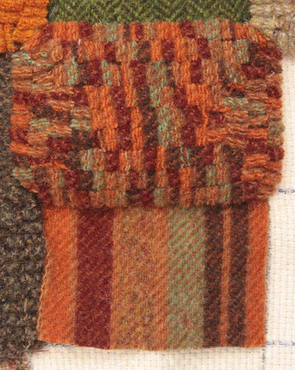 Joseph’s Coat