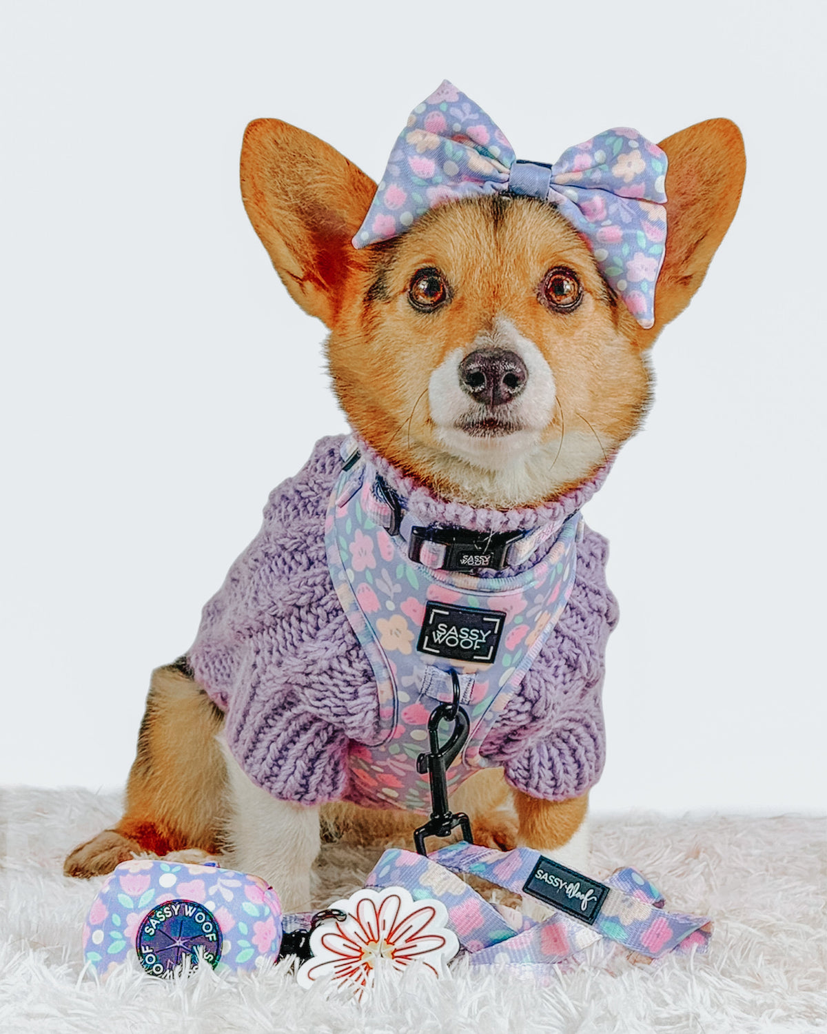 Dog Three Piece Bundle - Fleur de Sass