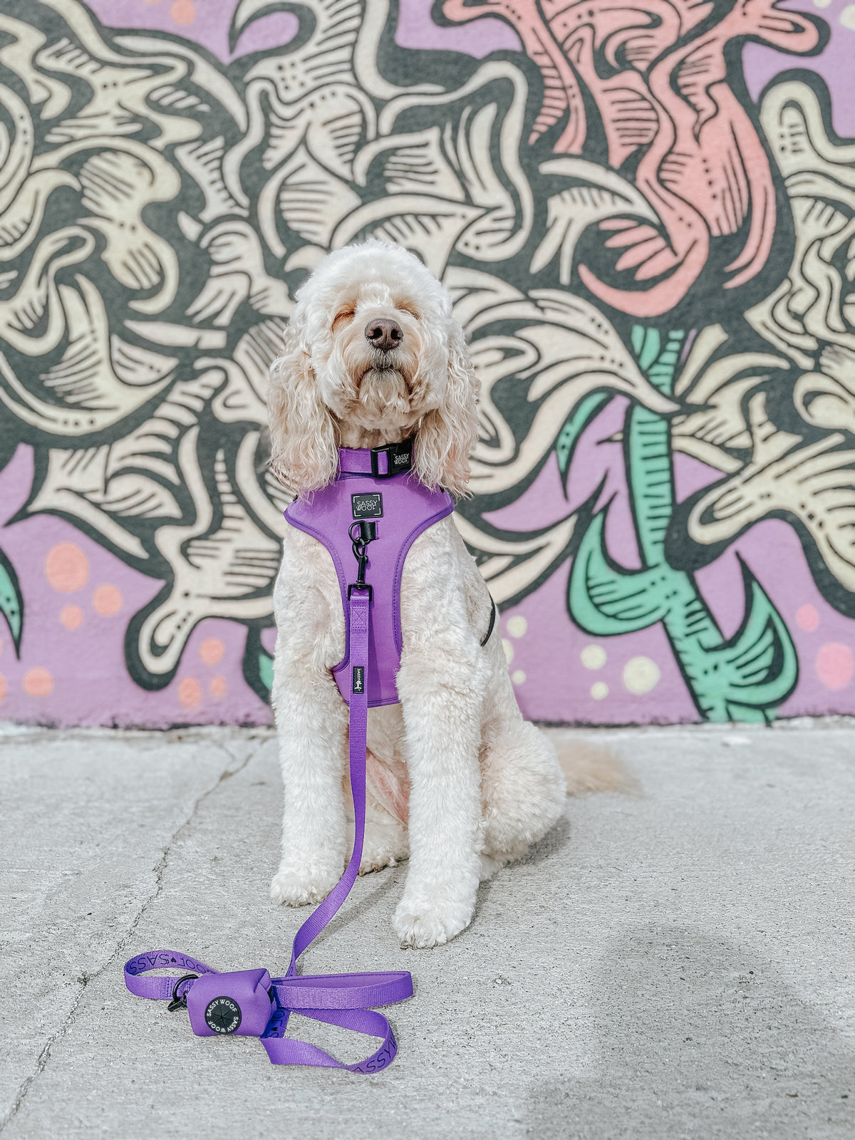 Dog Collar - Neon Purple