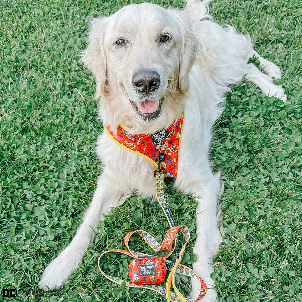 Dog Four Piece Bundle - Wonder Woman™