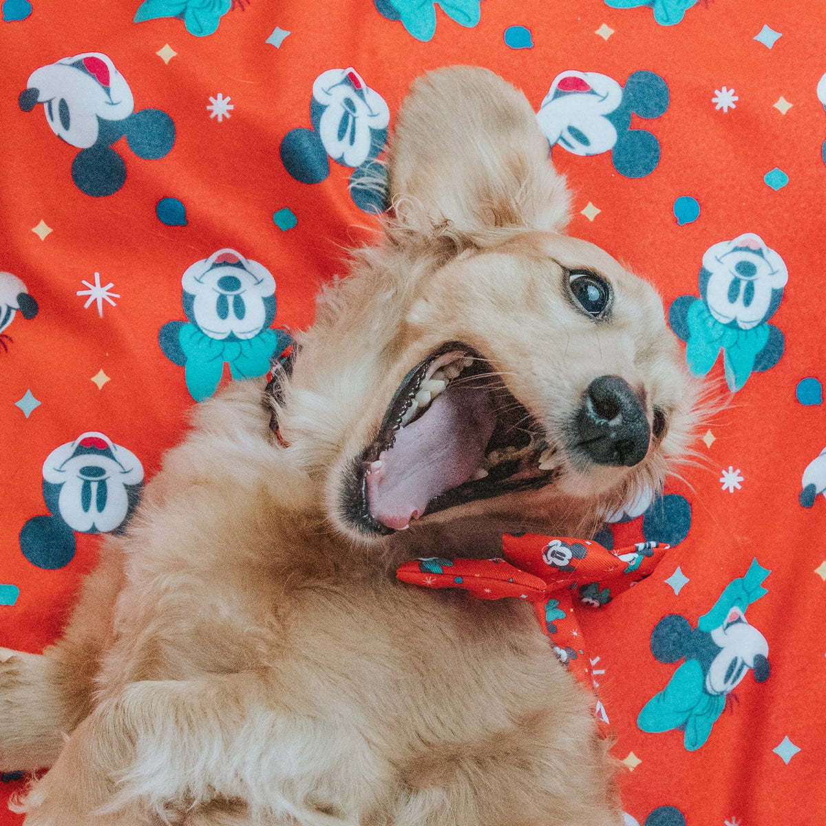 Pet Blanket - Disney Holiday Collection