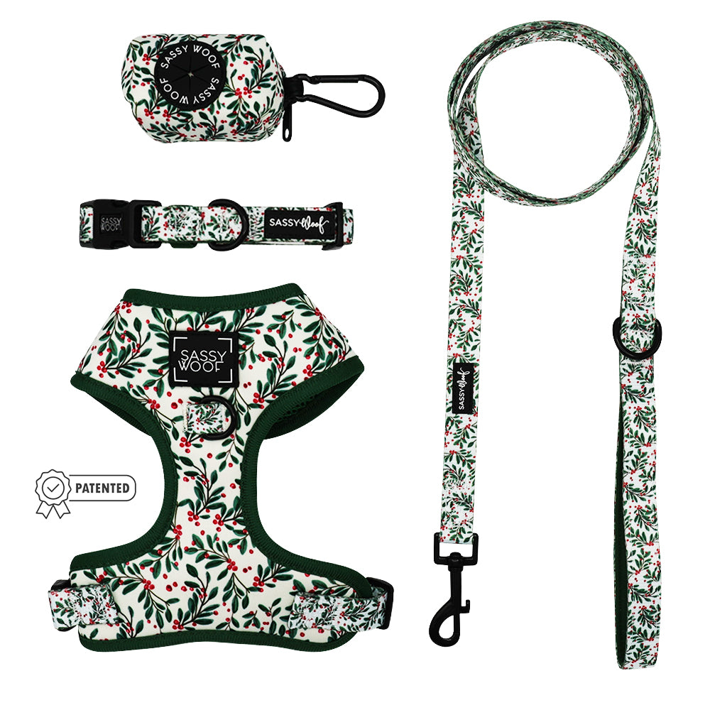 Dog Four Piece Bundle - Under the Mistletoe