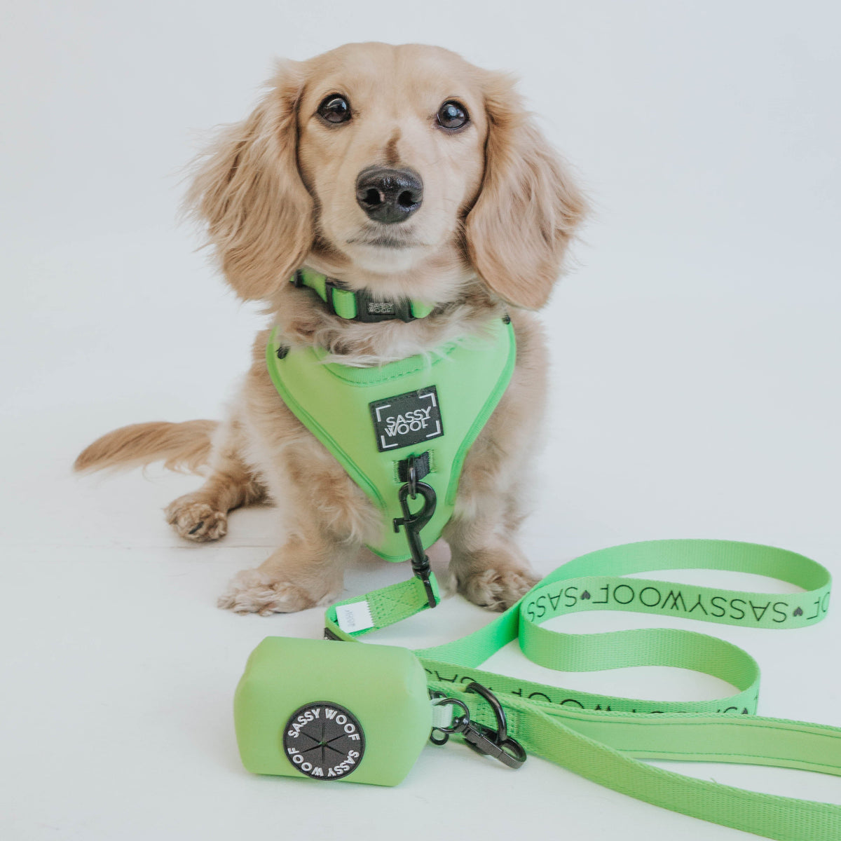 Dog Leash - Neon Green