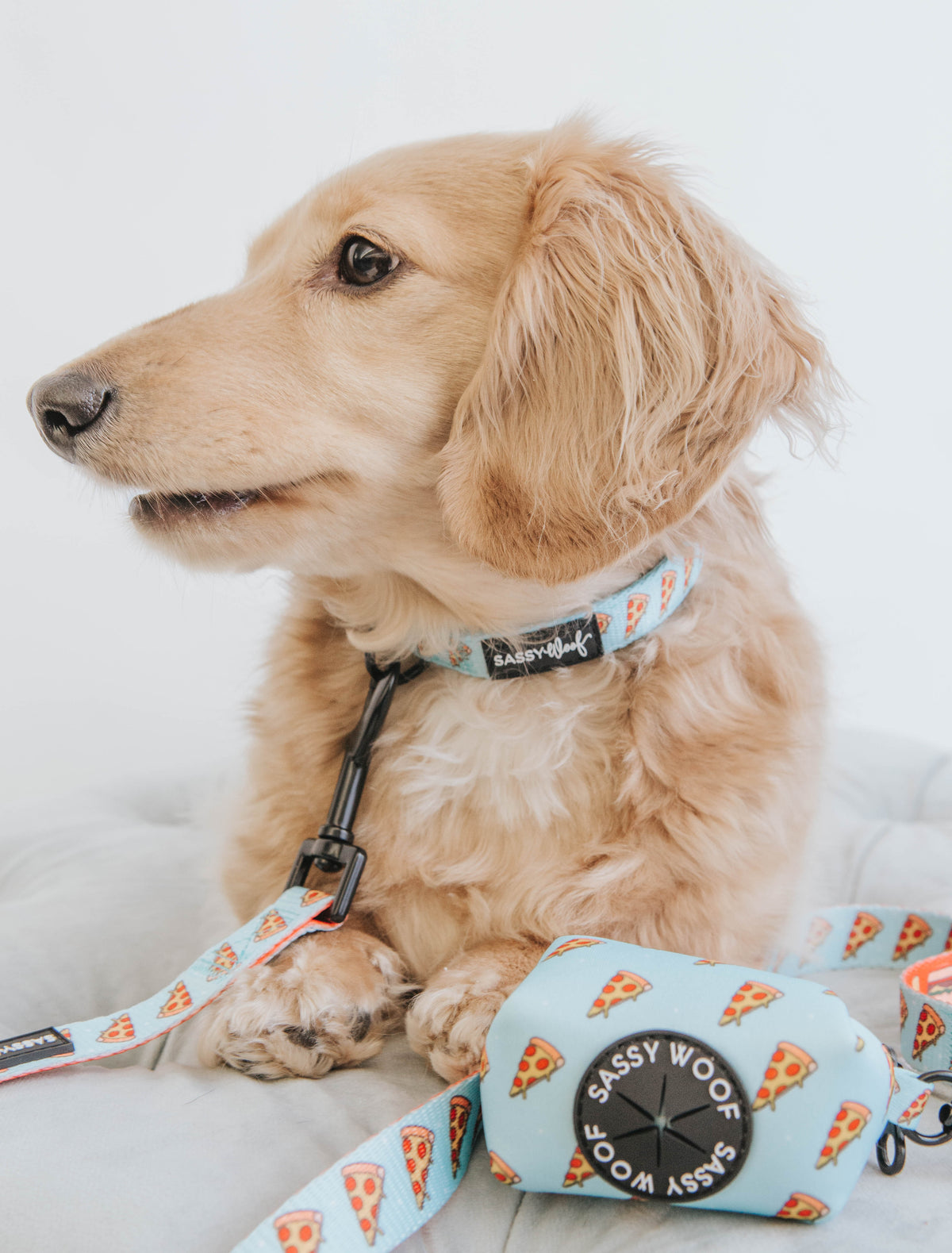 Dog Collar - One Hot Pupperoni