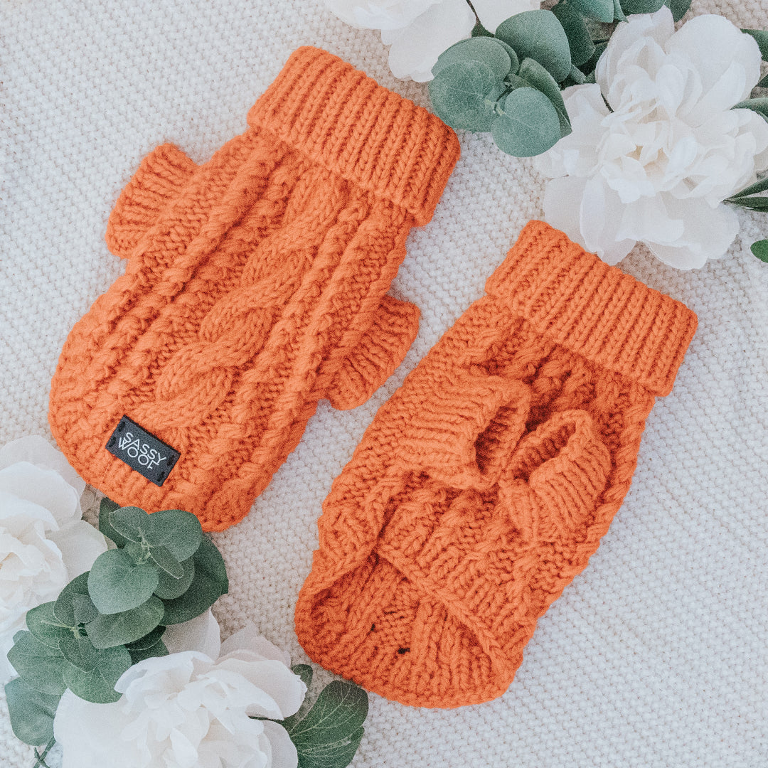 Pet Cable Knit Sweater - Orange