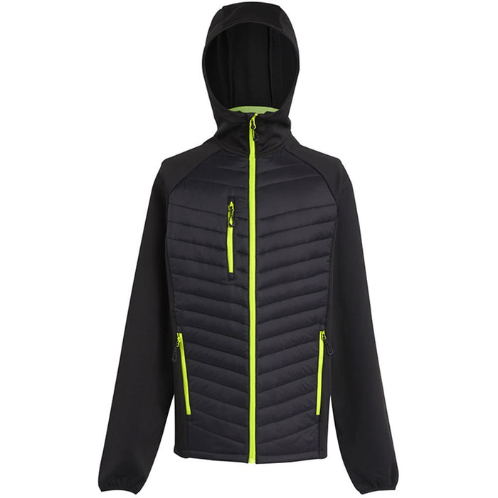 Regatta TRA549 Navigate Padded Hybrid Jacket