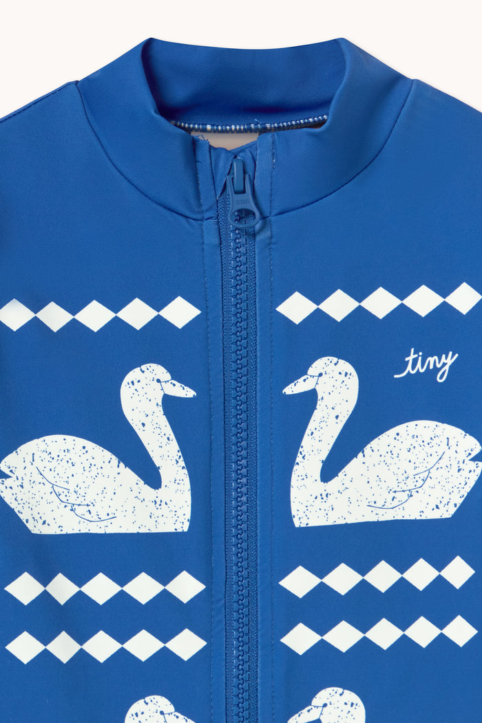 Swans Swimsuit in Blue