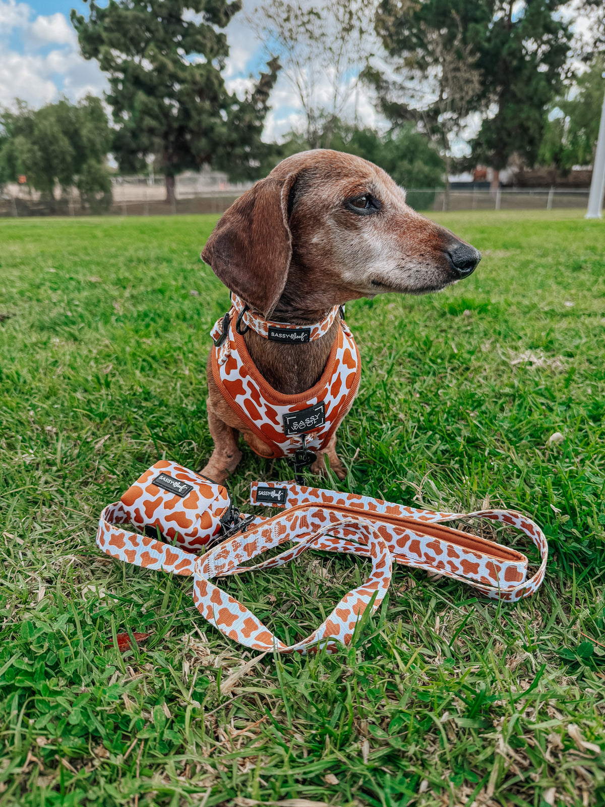Dog Adjustable Harness - Chocolate Milk