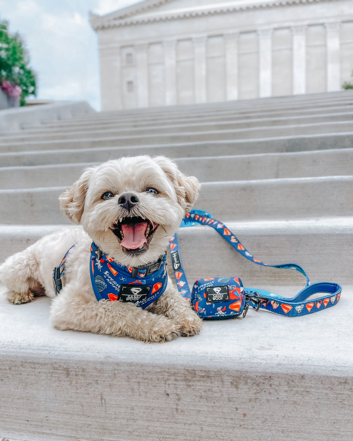 Dog Collar - Superman™ & Krypto™