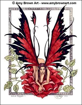 Wild Rose Print